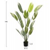 ΔΙΑΚΟΣΜΗΤΙΚΟ ΣΥΝΘΕΤΙΚΟ ΦΥΤΟ HM7997 CALATHEA ΣΕ ΓΛΑΣΤΡΑ 140Υεκ.