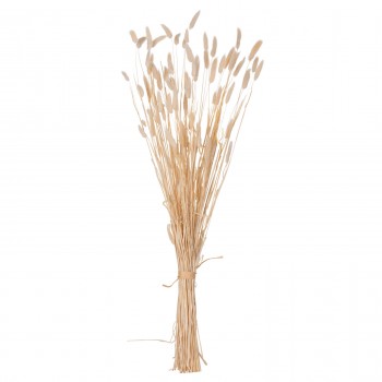 ΔΙΑΚΟΣΜΗΤΙΚΟ ΜΠΟΥΚΕΤΟ ΑΠΟΞΗΡΑΜΕΝΟ HM7959 RABBIT TAIL- CREAM 50gr 76Υεκ.