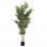 ΔΙΑΚΟΣΜΗΤΙΚΟ ΣΥΝΘΕΤΙΚΟ ΦΥΤΟ HM4736 BAMBOO ΣΕ ΓΛΑΣΤΡΑ 20x95x180Υεκ.