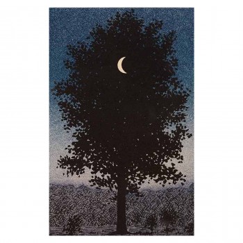 ΠΙΝΑΚΑΣ TOIXOY ΣΕΙΡΑ GOBI HM4850 ΕΚΤΥΠΩΜΕΝΟΣ ΚΑΜΒΑΣ 45x3(πάχος)x70Yεκ.