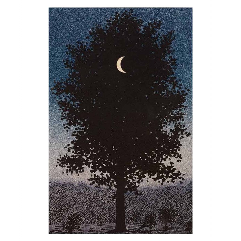 ΠΙΝΑΚΑΣ TOIXOY ΣΕΙΡΑ GOBI HM4850 ΕΚΤΥΠΩΜΕΝΟΣ ΚΑΜΒΑΣ 45x3(πάχος)x70Yεκ.