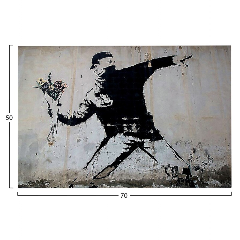 ΠΙΝΑΚΑΣ TOIXOY ΣΕΙΡΑ GOBI HM4817 ΕΚΤΥΠΩΜΕΝΟΣ ΚΑΜΒΑΣ 70x3(πάχος)x50Yεκ.