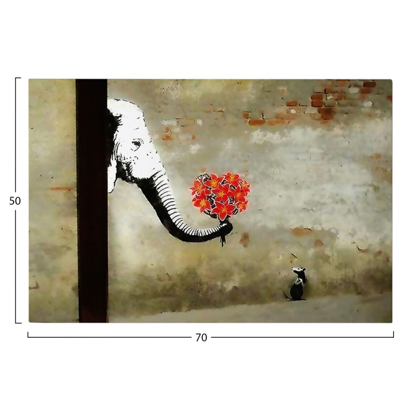 ΠΙΝΑΚΑΣ TOIXOY ΣΕΙΡΑ GOBI HM4825 ΕΚΤΥΠΩΜΕΝΟΣ ΚΑΜΒΑΣ 70x3(πάχος)x50Yεκ.