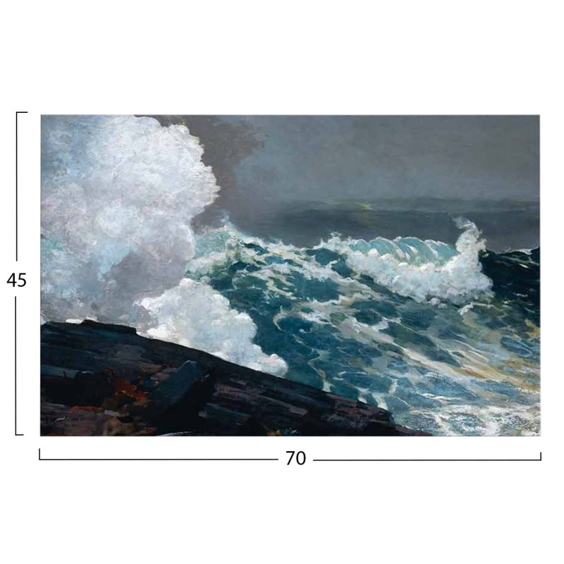 ΠΙΝΑΚΑΣ TOIXOY ΣΕΙΡΑ GOBI HM4848 ΕΚΤΥΠΩΜΕΝΟΣ ΚΑΜΒΑΣ 70x3(πάχος)x45Yεκ.