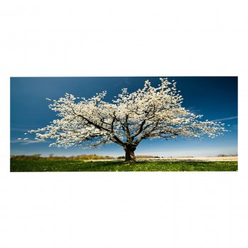 ΠΙΝΑΚΑΣ TOIXOY ΣΕΙΡΑ GOBI HM4792 ΕΚΤΥΠΩΜΕΝΟΣ ΚΑΜΒΑΣ 120x3(πάχος)x50Υεκ.