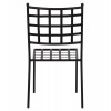 ΜΕΤΑΛΛΙΚΗ ΚΑΡΕΚΛΑ EMERY HM5509 ΣΕ ΜΑΥΡΗ ΑΠΟΧΡΩΣΗ 46x58x88  cm
