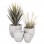 ΣΕΤ 4ΤΜΧ ΓΛΑΣΤΡΕΣ ΣΤΡΟΓΓΥΛΕΣ ΣΕΙΡΑ GARDENER HM4719 FIBERCLAY-ΧΡΩΜΑ CEMENT Φ44x43Υεκ