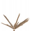 ΔΙΑΚΟΣΜΗΤΙΚΟ ΔΕΝΤΡΟ TROPIC HM4323 τ.ΦΟΙΝΙΚΑ ΑΠΟ MENDONG GRASS 310Yεκ.