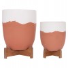 ΓΛΑΣΤΡΕΣ ΣΕΤ 2ΤΜΧ SEON HM4686.08 TERRACOTTA ΣΕ ΛΕΥΚΟ & ΤΕΡΑΚΟΤΑ--TEAK ΒΑΣΗ