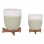 ΓΛΑΣΤΡΕΣ ΣΕΤ 2ΤΜΧ SEON HM4686.09 TERRACOTTA ΣΕ ΛΕΥΚΟ & ΠΡΑΣΙΝΟ--TEAK ΒΑΣΗ